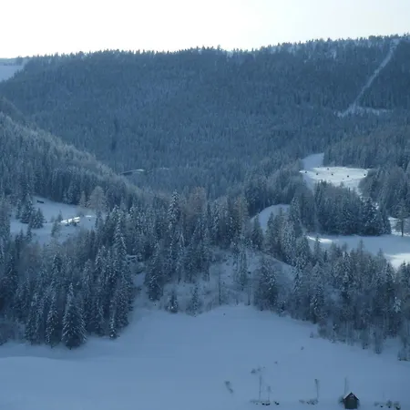 Haus Heimo * Bad Kleinkirchheim